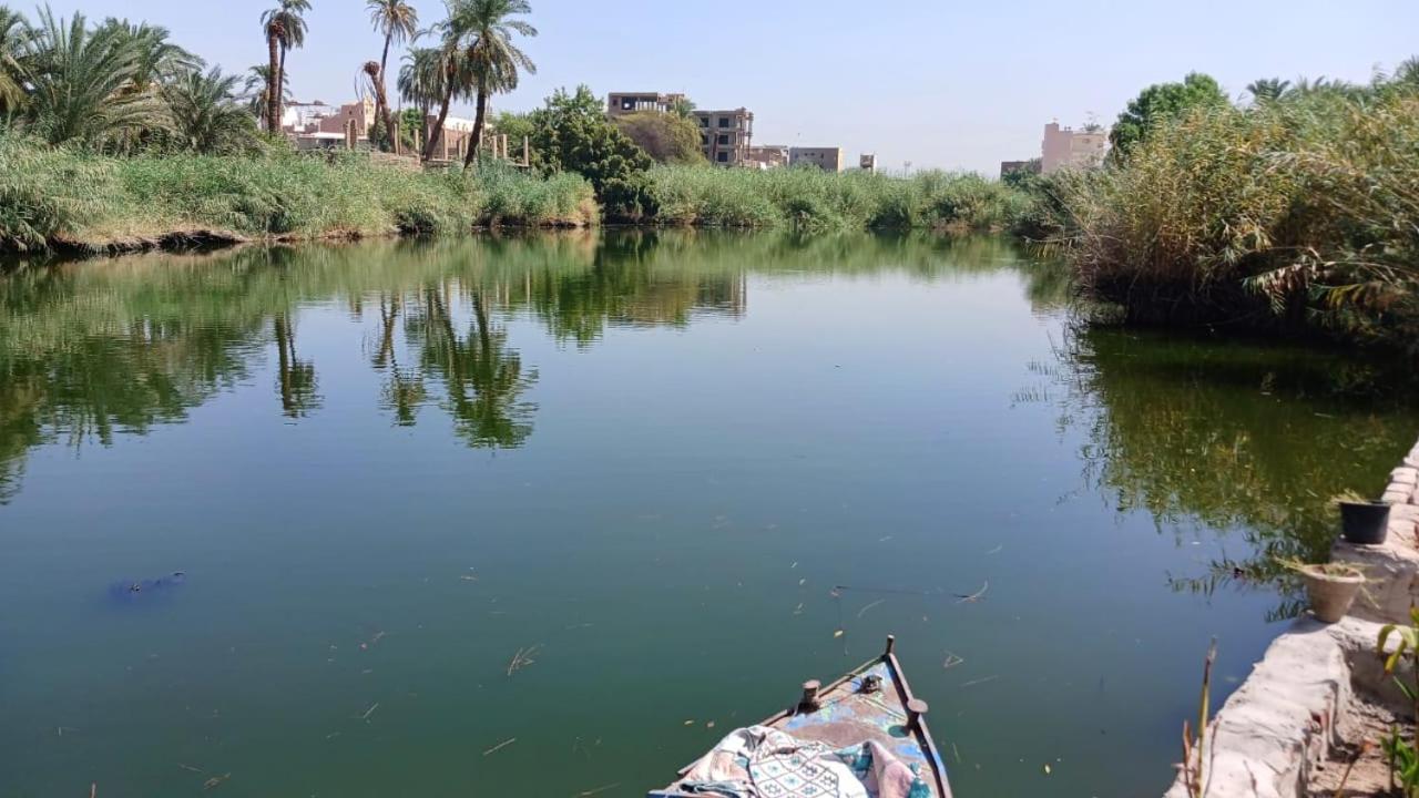 Luxor Old Nile Hotel Kültér fotó