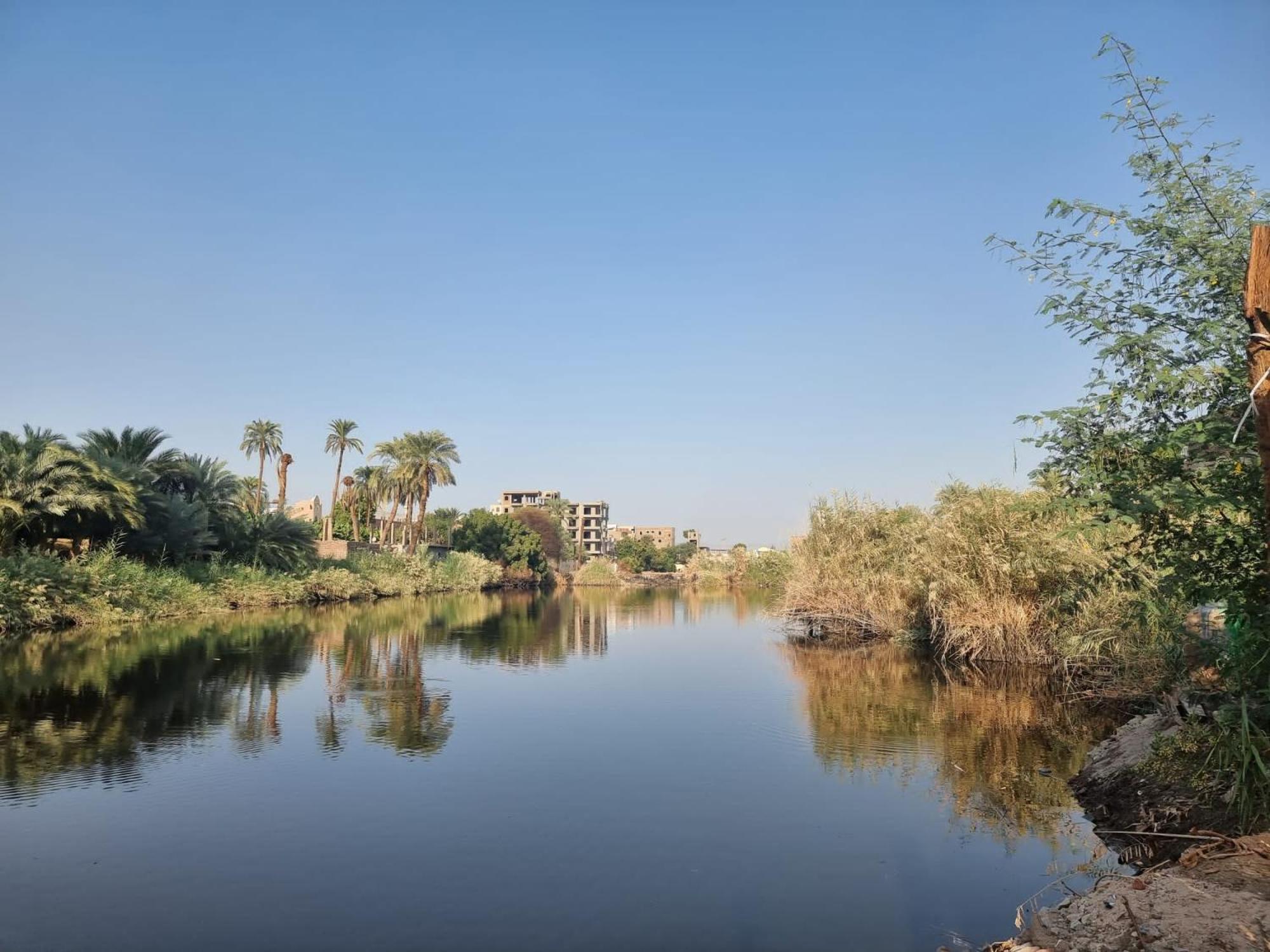 Luxor Old Nile Hotel Szoba fotó